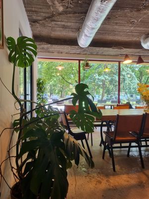 Inside the cafe at Zgoda Cafe in Krakow