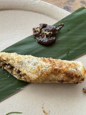 Half of the spring roll, exquisite miso style mushroom paste  at Hakumokka in Onna