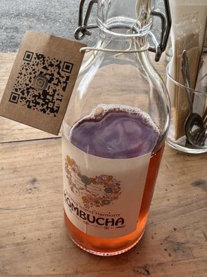Kombucha  at Hakumokka in Onna