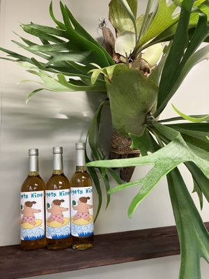   at Vegeta Burger  in Fukuoka