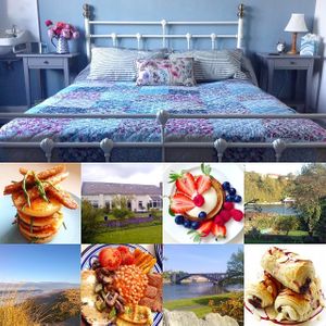 After 7 years Loaf has relocated to the riverside at Berwick! at Loaf BnB in Berwick-upon-tweed