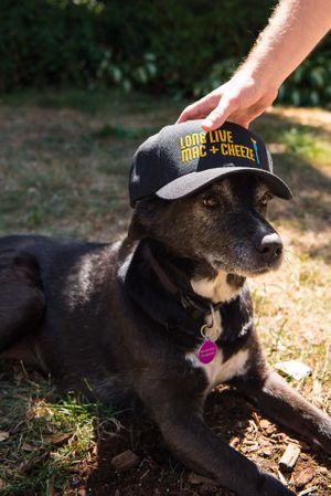  at Long Live Mac + Cheeze in Vancouver