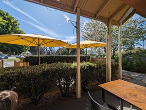 Outside at The Yellow House Cafe in Whanganui