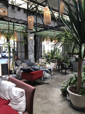   at Happy Allergy Bakery in Chiang Mai