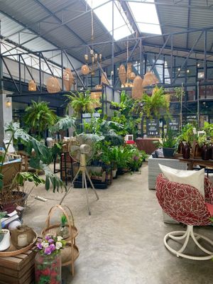 Tropical quiet atmosphere 🌴  at Happy Allergy Bakery in Chiang Mai