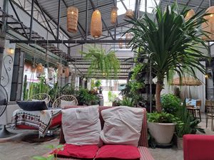  at Happy Allergy Bakery in Chiang Mai