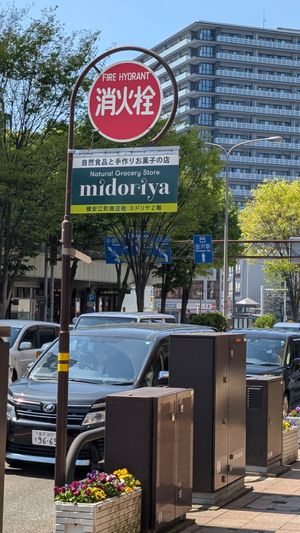  at Midoriya in Kanazawa