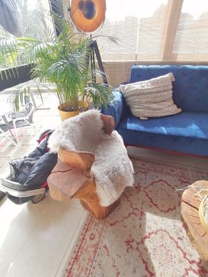  at Dona Sardinha in Luso