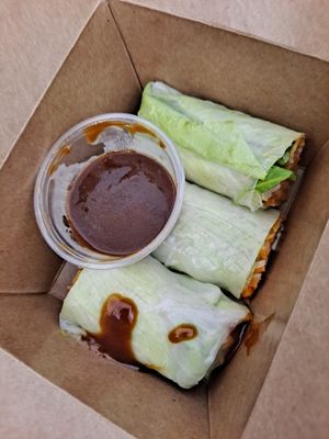 Spring rolls at World Vegan Cuisine in St Petersburg
