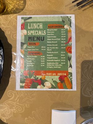 Vegan lunch specials!!!  at World Vegan Cuisine in St Petersburg