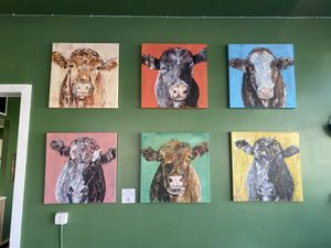 Amie Simmons’ paintings of cows who escaped a slaughter house in St. Louis!  at Looking Meadow Cafe in Maplewood
