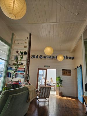  at Little Curious Bagels in Whanganui