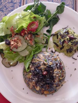  at hetienveg in Goias