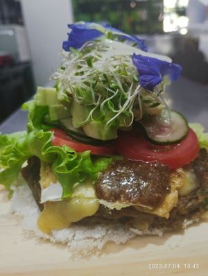  at hetienveg in Goias