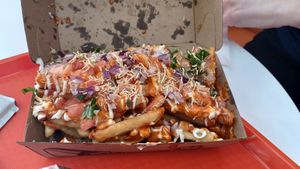 Delicious chaat fries at Desi Rasoi in Vancouver