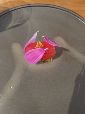 Amuse-bouche at Monologue in Kota
