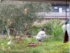  at Monologue in Kota