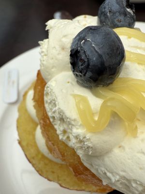 lemon drizzle vegan  at Caffe Concerto in Birmingham