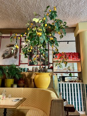 The cosy interior   at Vegitalian in Amsterdam