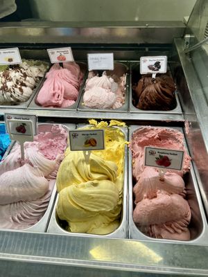 Vegan sorbets & dairy free ice cream options   at Miele's Gelateria - Inverness in Inverness