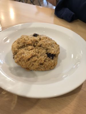 Blueberry scone   at From Seed to Sprout in Avon By The Sea