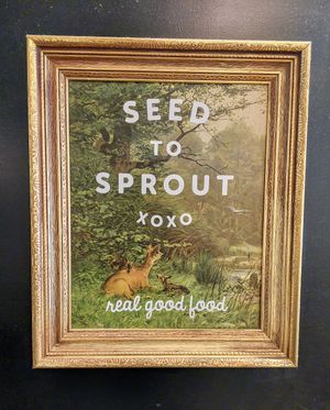  at From Seed to Sprout in Avon By The Sea
