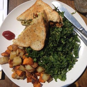 avocado breakfast sandwich at From Seed to Sprout in Avon By The Sea