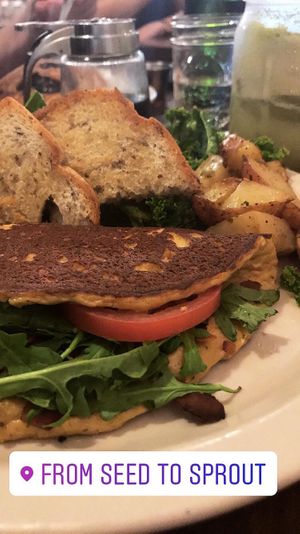 The best vegan omelettes!! at From Seed to Sprout in Avon By The Sea
