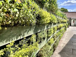Herb wall  at Pipe and Glass in Beverley