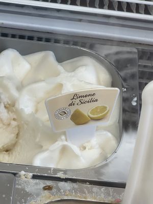 Vegan gelato insidee  at Essenza Dario e Anna - dal 1964 in Arezzo