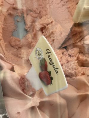 Vegan gelato insidee  at Essenza Dario e Anna - dal 1964 in Arezzo