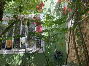  at Yerbabuena del Sisal in Valladolid