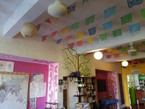 ⛩️♦️💜♦️⛩️ at Yerbabuena del Sisal in Valladolid