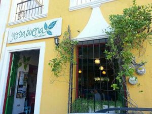 ⛩️♦️💚♦️⛩️ at Yerbabuena del Sisal in Valladolid