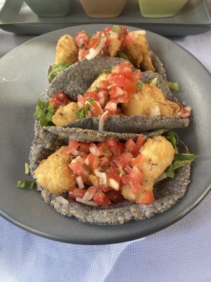   at Yerbabuena del Sisal in Valladolid