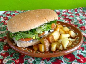 Tortugas at Yerbabuena del Sisal in Valladolid