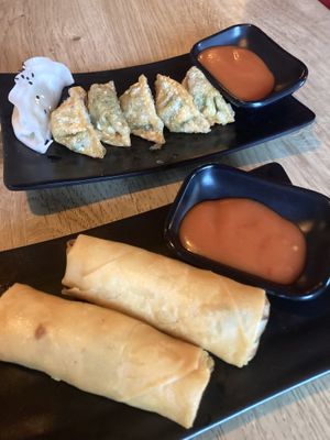 Gluten-free and fried dumpling (I put it to share there), spring rolls   at EatHappy Vegan - Rosenhoff in Oslo
