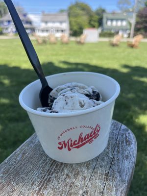 Vegan Ice Creamm  at Michael's Dairy in New London