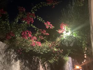   at Casamatta in Taormina