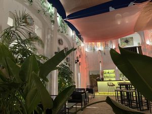   at Niche Secret Garden in Malaga