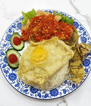 Vegan Chicken Rice 👍 #Veganuary at Happy Veg Cafe 乐蔬坊 in Central Singapore