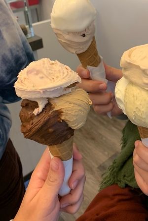   at Gelateria Domus in Bergamo