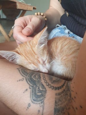  at Veganize Bohol in Tagbilaran