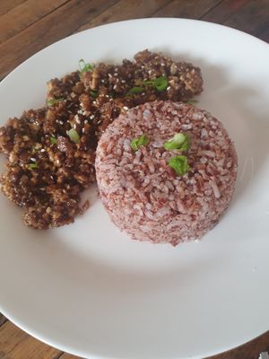  at Veganize Bohol in Tagbilaran