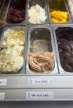 Top Row: Blueberry, Lemon, and Mango Sorbeto 
Bottom Row: Pineapple, White Peach, and Chocolate Sorbeto  at Perfecto Cafe in Vancouver