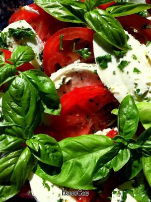 Tomato and EVOO with bunches of fresh Basil from our garden. at Vienna Restaurant and Historic Inn in Southbridge