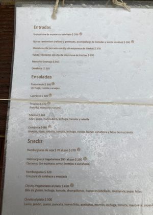 Menu, with vegan items clearly marked at Comida Naturista Irene's in Colonia Del Sacramento