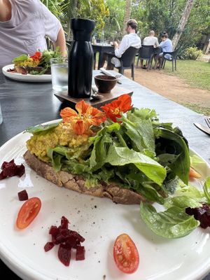   at Bahia in Dikwella