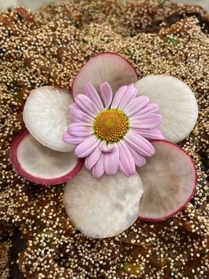   at Nutmeg Indian street kitchen in Bristol