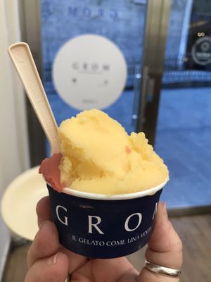 Strawberry and mandarin sorbet  at Grom - San Lorenzo in Genoa